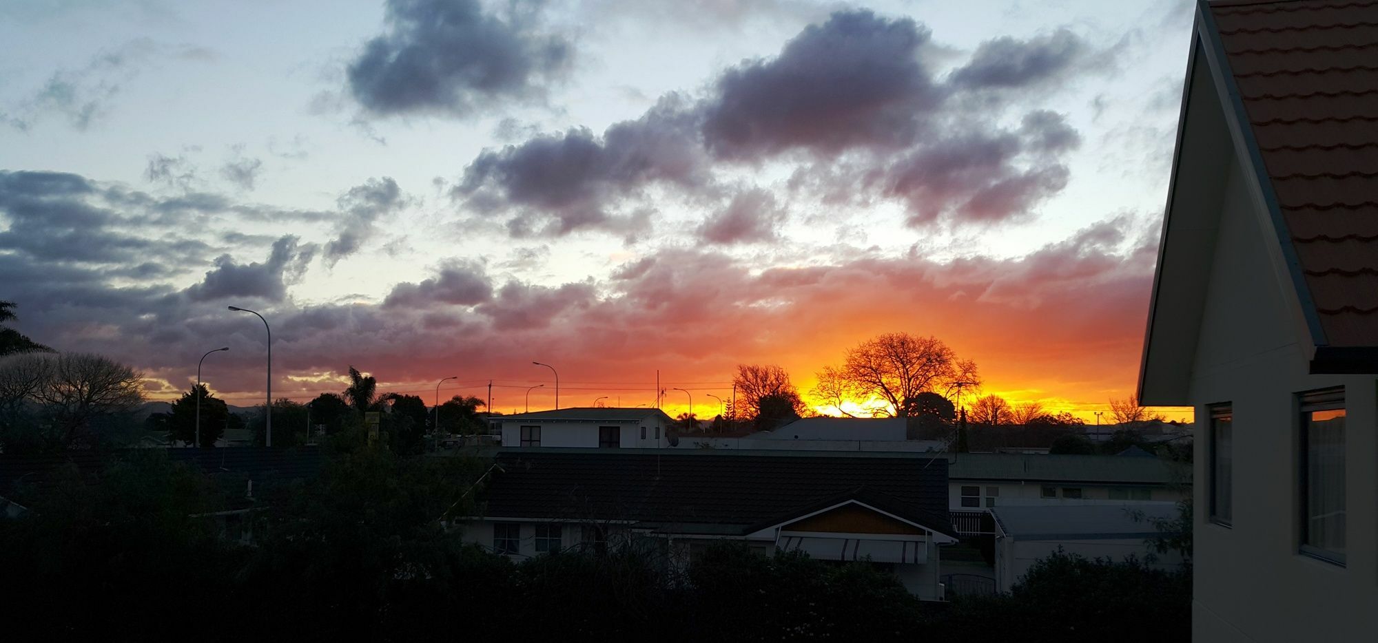 Bella Vista Motel Gisborne Esterno foto